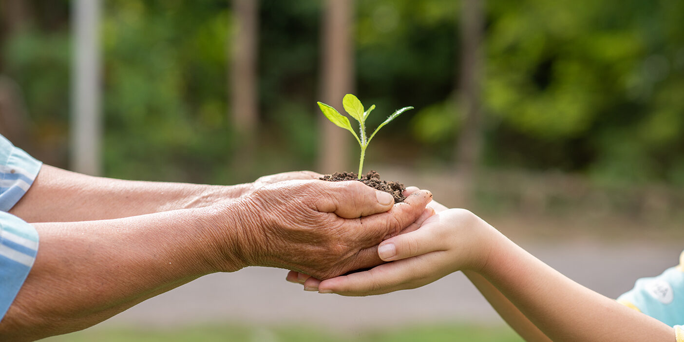 Com práticas sustentáveis, rede de varejo evita desperdícios e beneficia o meio ambiente