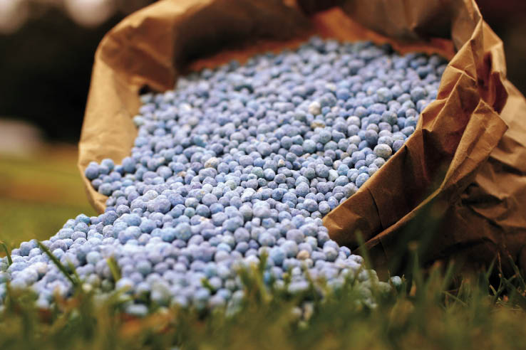 Mercado brasileiro de fertilizantes apresenta tendência de firmeza nos preços