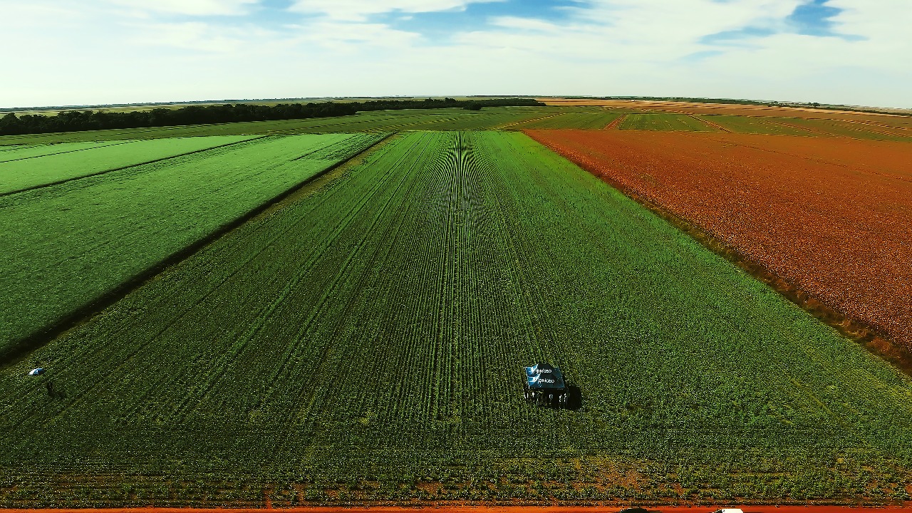 No dia do agricultor, celebramos quem cultiva o futuro do Brasil (e do mundo)