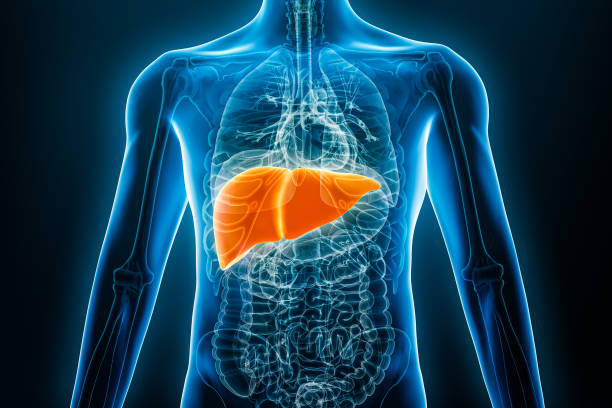 “Julho Amarelo” acende alerta sobre hepatites virais no Brasil